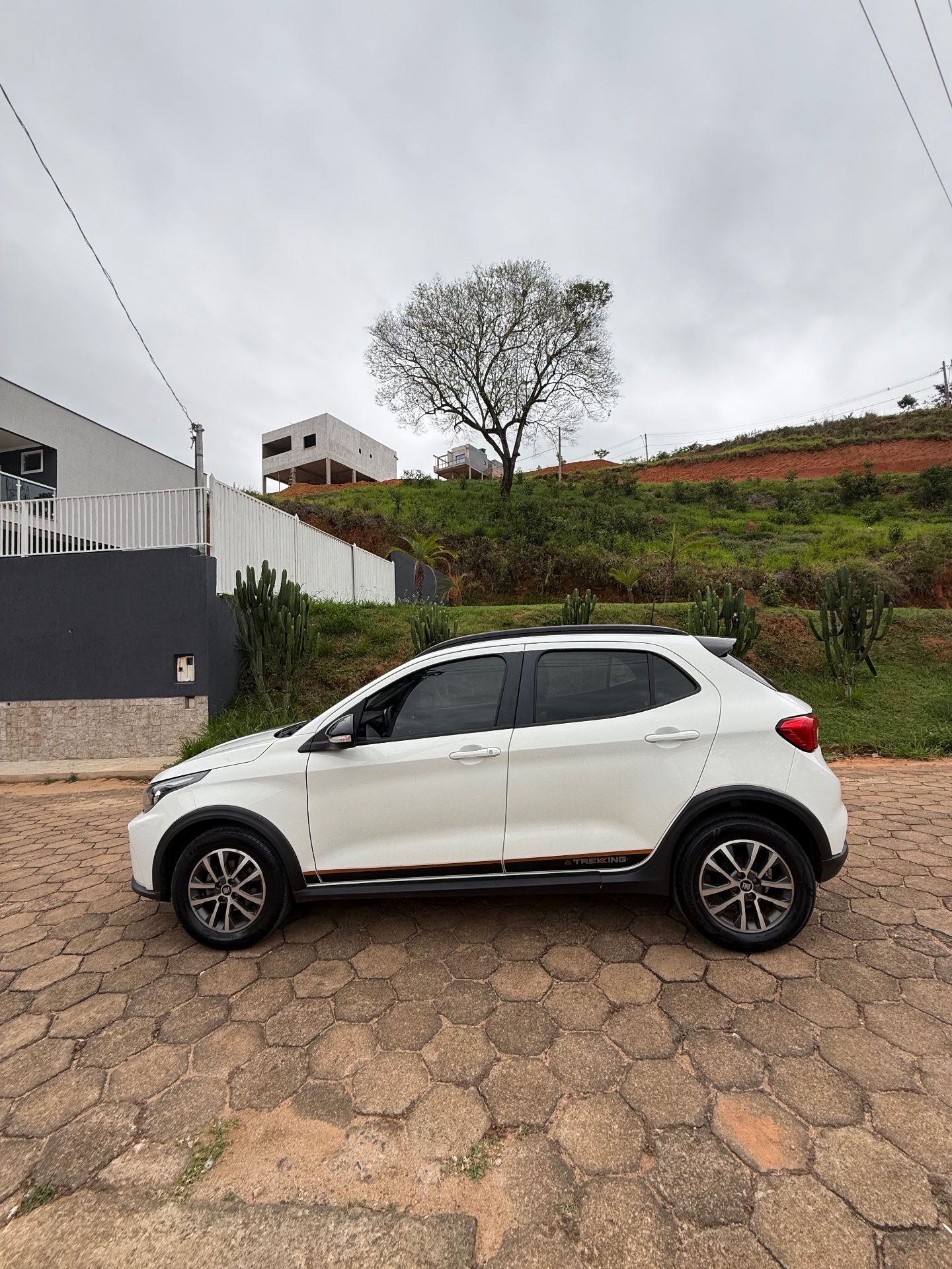 FIAT ARGO TREKKING 2024 - Foto 13
