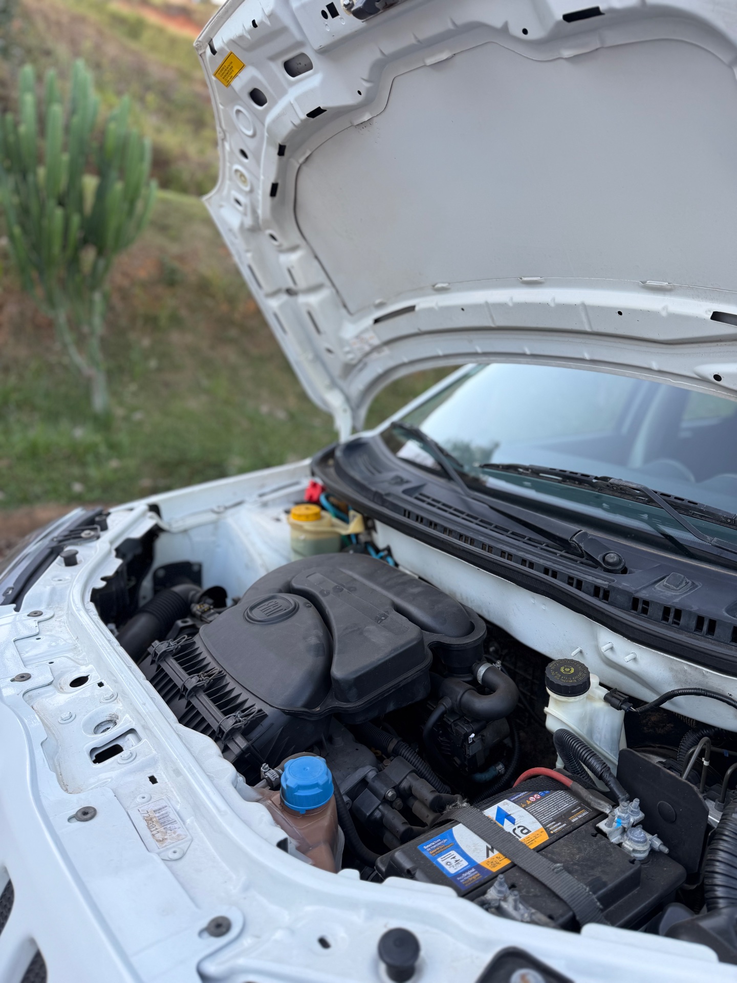 Fiat uno vivace - foto 17